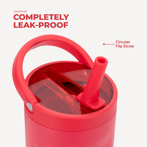 Sport 20oz | Insulated Water Bottle, Leakproof Flip Straw – Fruit Punch